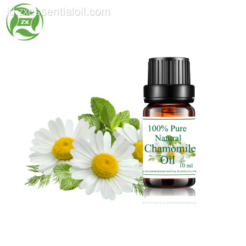 Minyak Chamomile Organik Alami